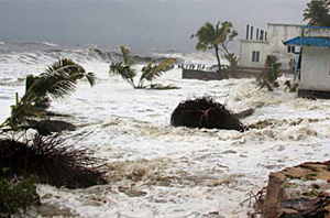 tsunami